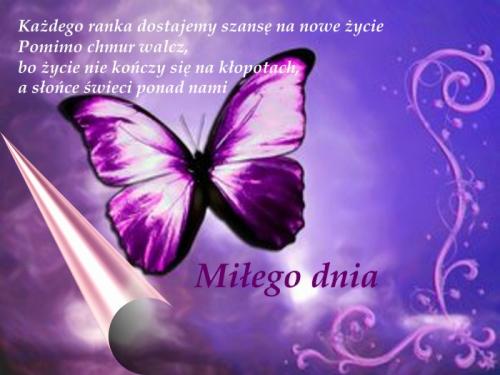 Życie każdego dnia